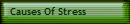 Causes Of Stress